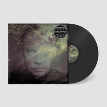 Load image into Gallery viewer, Delaney Davidson - Shining Day