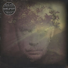 Load image into Gallery viewer, Delaney Davidson - Shining Day