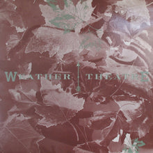 Load image into Gallery viewer, Weather Theater - Digital