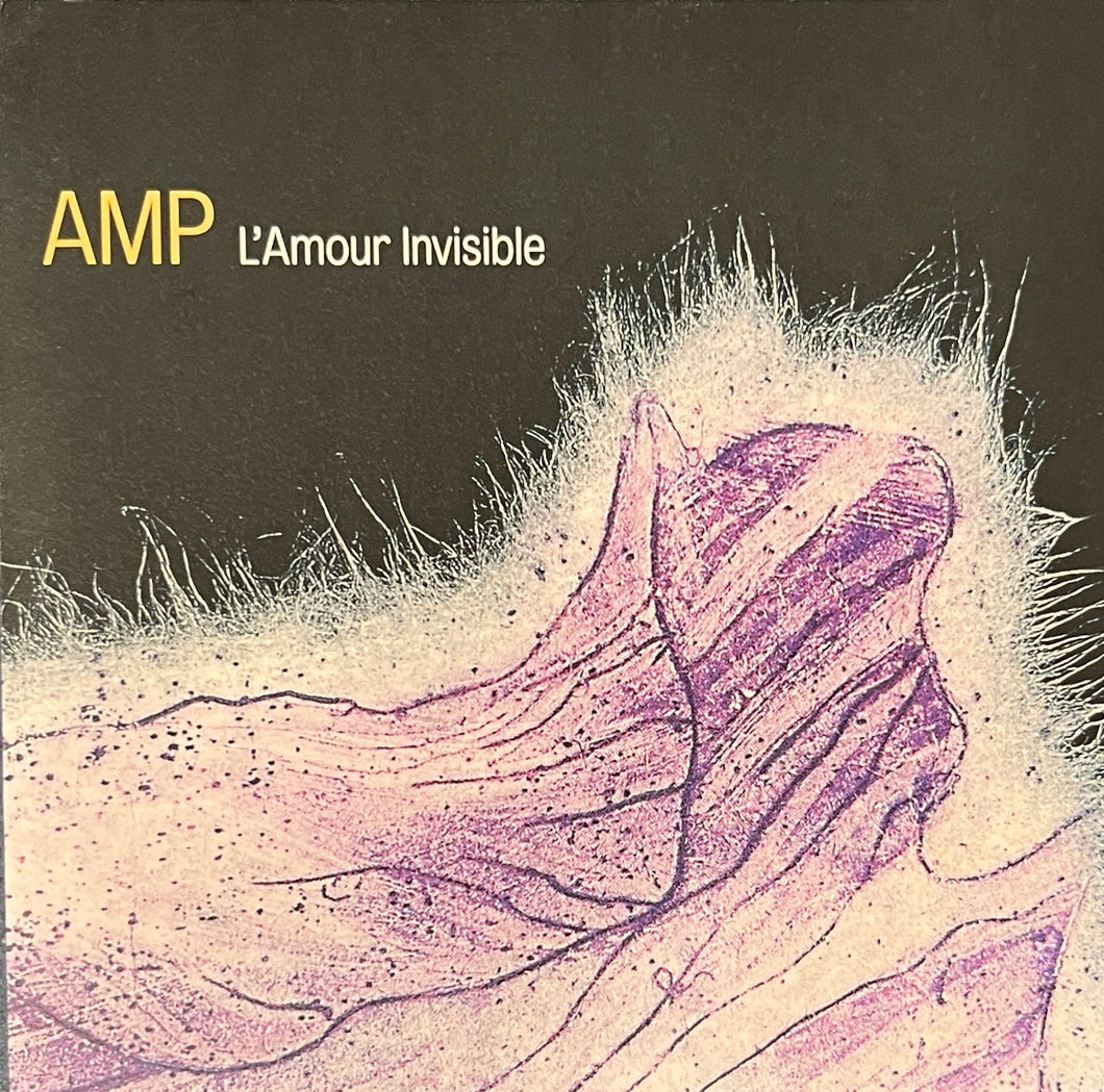 Amp - L'Amour Invisible - CD