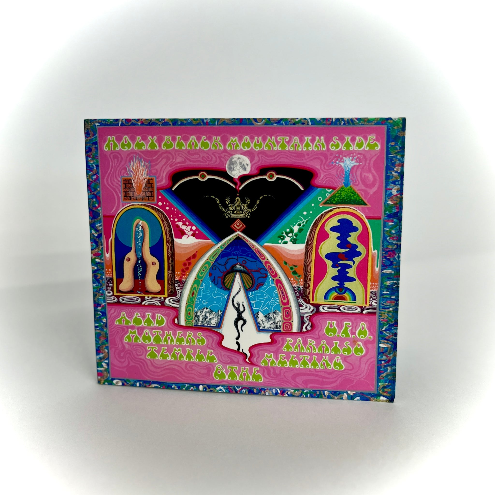 美品廃盤ピクチャーLP Acid Mothers Temple Acid Mothers Temple - Levitation Sessions LP – LEVITATION